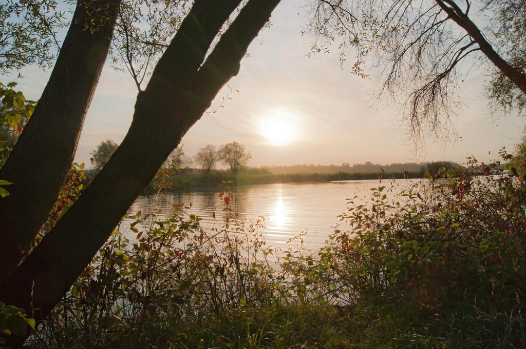 Seehotel Brandenburg An Der Havel Brielow Exteriör bild